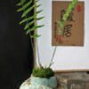 one percent clay,Wabi-Sabi Coarse Pottery Vase,Natural Serenity Series,handcrafted,blue-gray vintage,living room accent