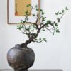 Rustic vase with bonsai near framed art piece.