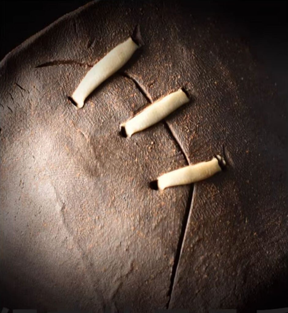 Close-up of old leather football stitching.